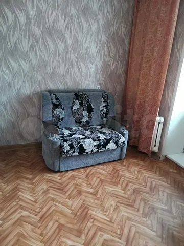 Народная - 81 №2