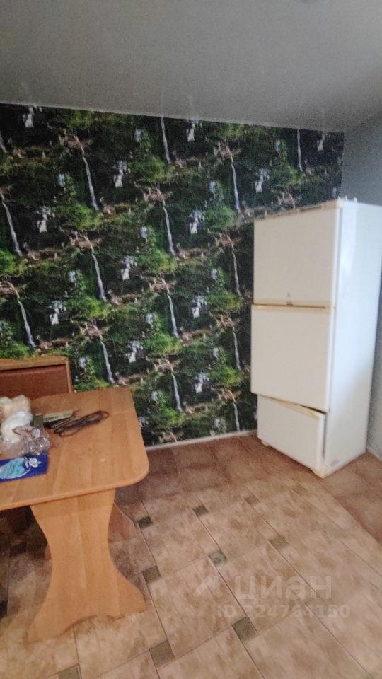 Рябиновая - 10/1 №1