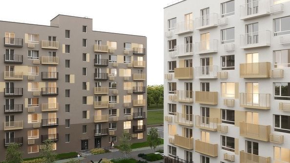 Дом в Мичуринском №5