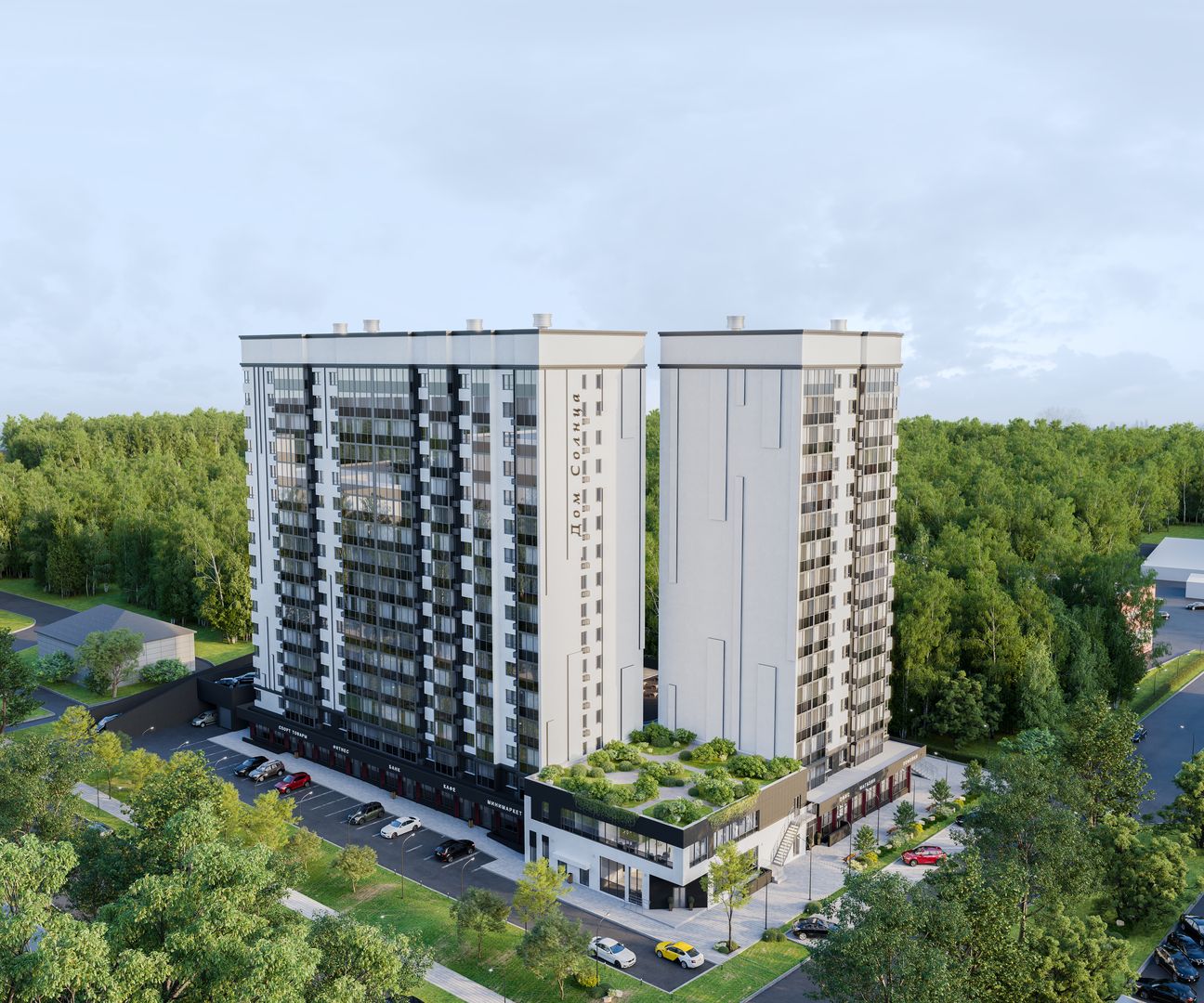 Ежевика №11