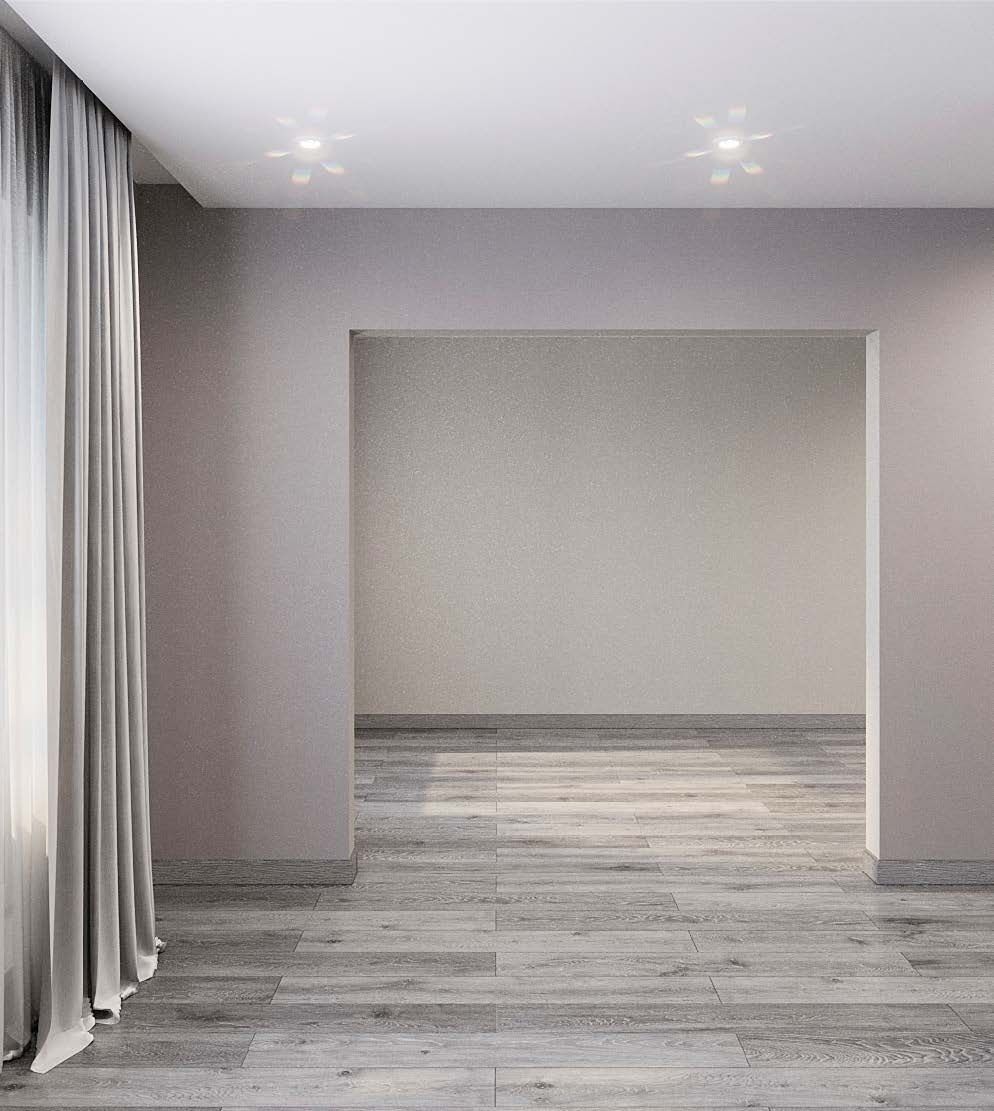 Ежевика №27