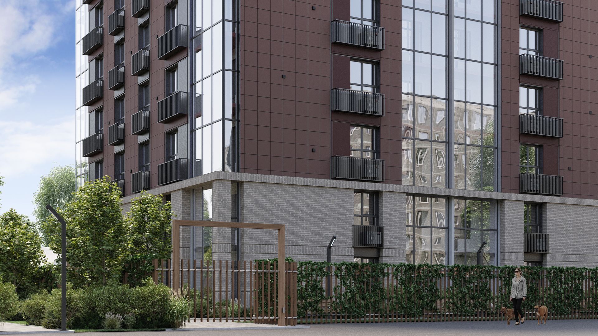 Виноград №10