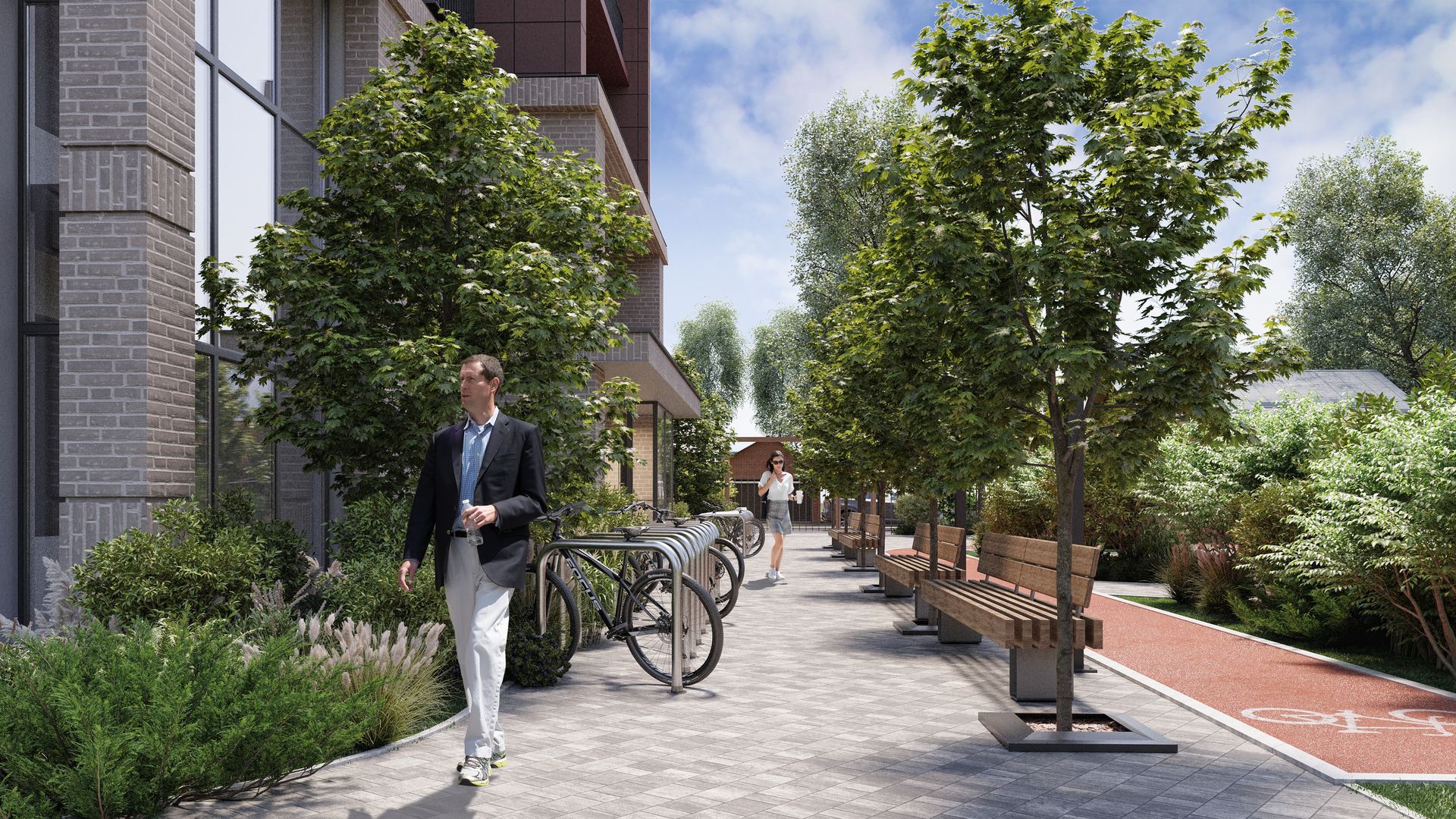 Виноград №17