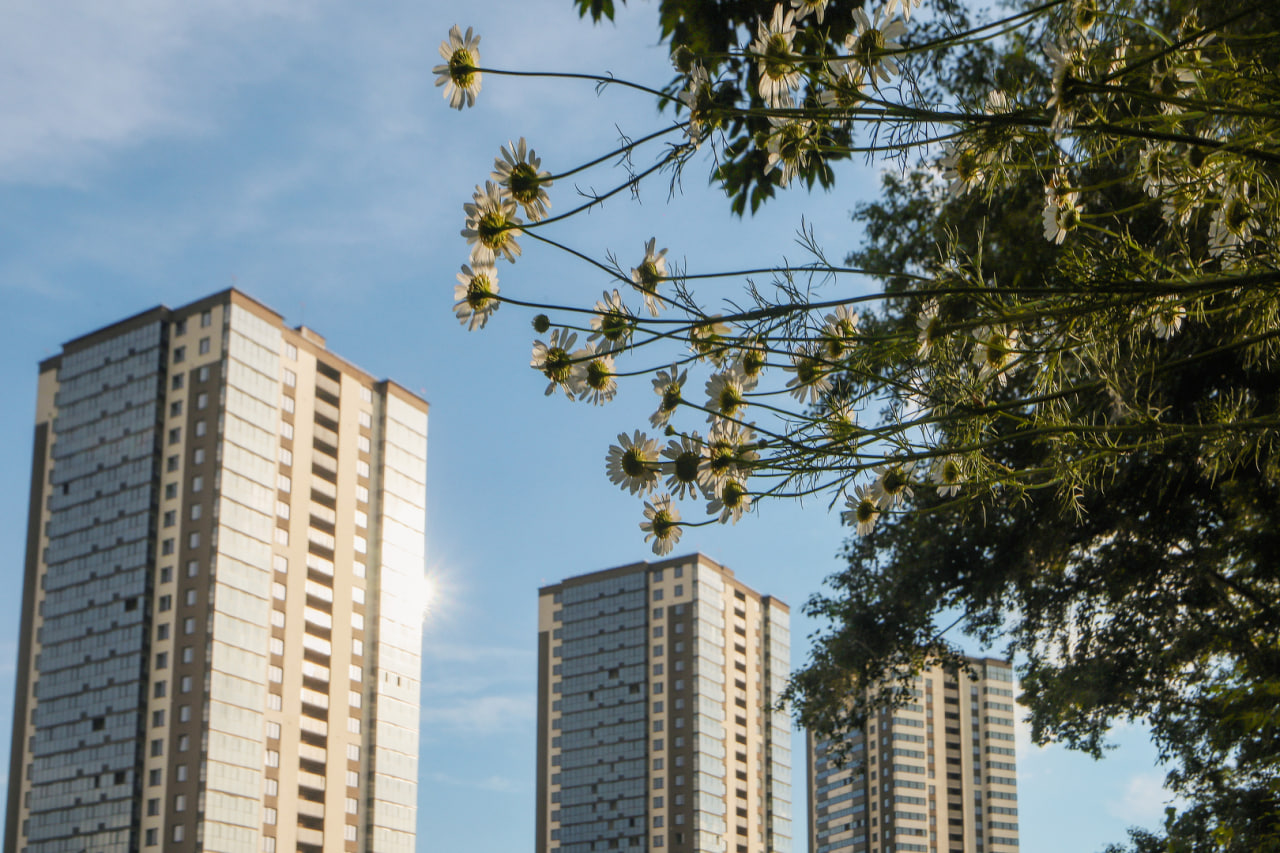 ЖК «Расцветай на Зорге» №31