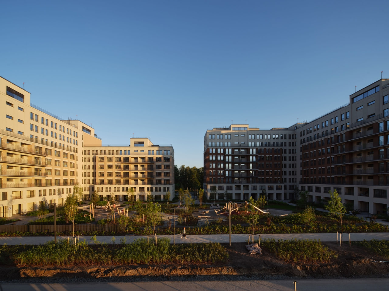 ЖК Пшеница №11