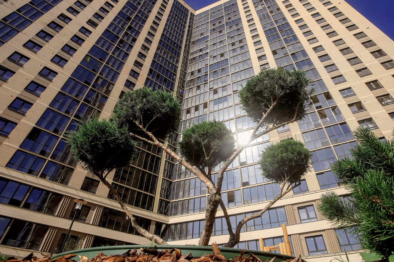 Сакура парк №16