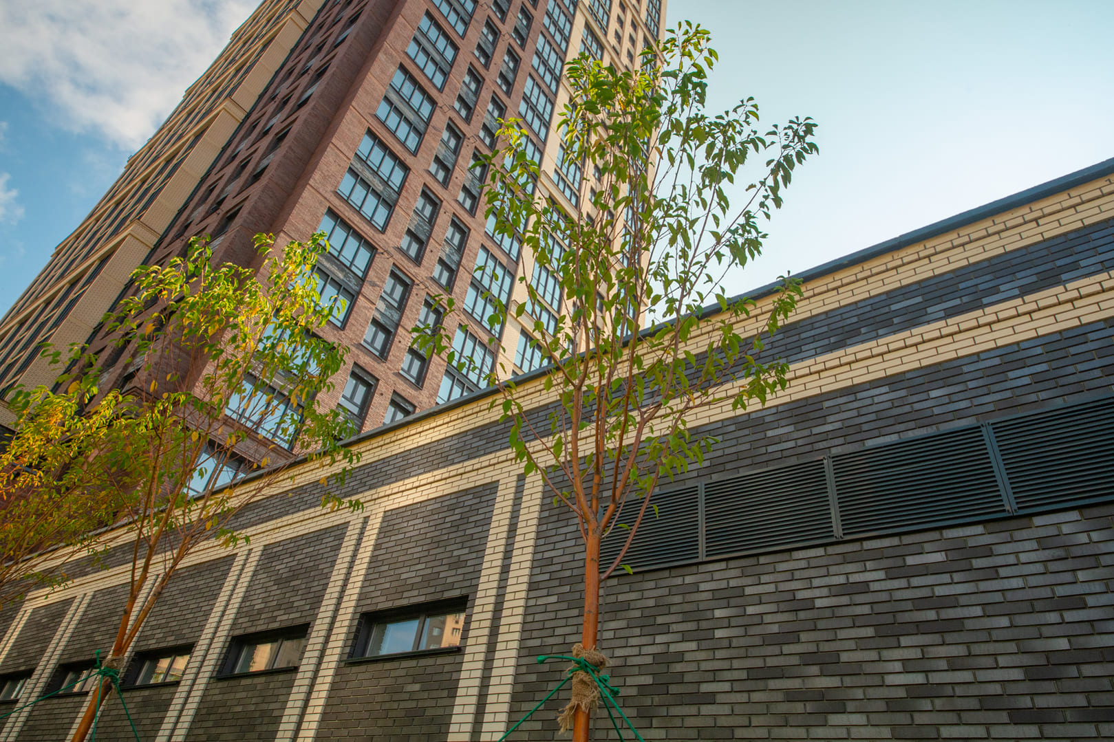 Менделеев №1